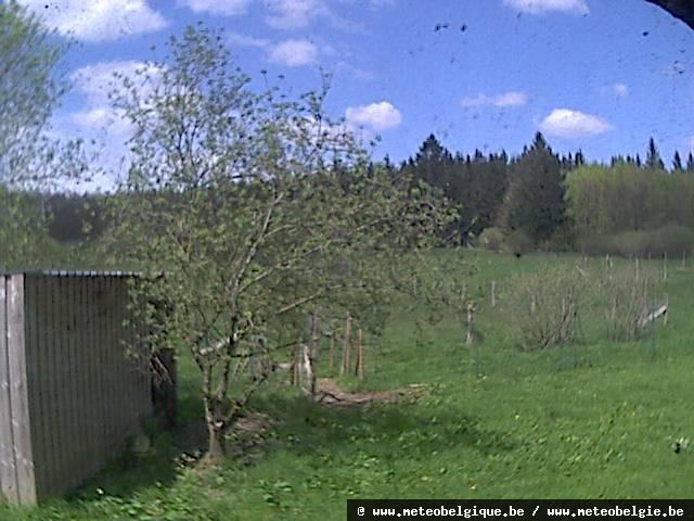 webcam beeld Botrange - 675m